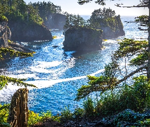 Urwiska, Drzewa, Skały, Morze