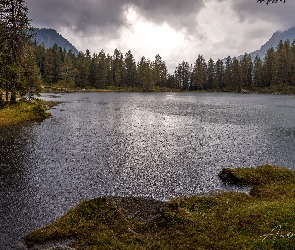 Lago di San Pellegrino, Włochy, Trydent, Drzewa, Jezioro