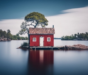 Jezioro, Las, Domek, Wyspa, Drzewo, Pomost