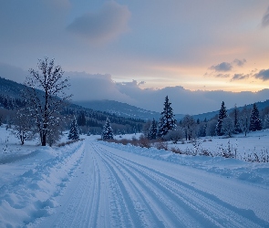 Droga, Grafika AI, Góry, Drzewa, Zima