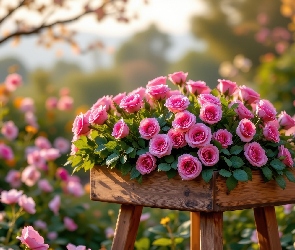 Kwietnik, Róże, Kwiaty, Różowe