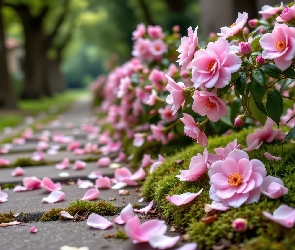 Kwiaty, Grafika AI, Park, Płatki, Różowe