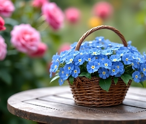 Grafika, Koszyk, Niebieskie, Kwiaty