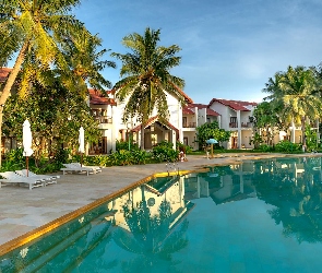 Domy, Palmy, Basen, Leżaki