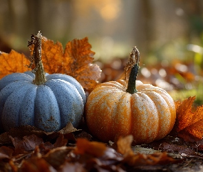 Grafika AI, Liście, Dwie, Kolorowe, Dynie, Suche