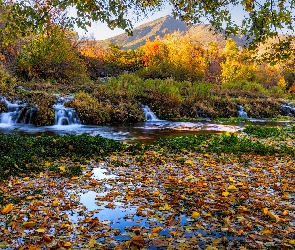 Góry, Liście, Drzewa, Rzeka, Jesień
