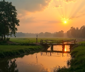 Most, AI, Drzewa, Zachód słońca, Rzeka