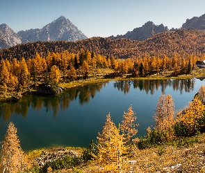 Jezioro, Prowincja Belluno, Drzewa, Włochy, Jesień, Lasy, Federa Lake, Góry, Dolomity