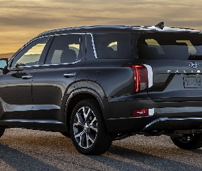 Czerny, Hyundai Palisade