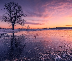 Mazowsze, Lód, Rozlewisko, Polska, Zima, Rzeka, Drzewo