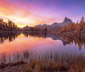 Włochy, Drzewa, Lago Federa, Modrzewie, Jesień, Jezioro, Prowincja Belluno, Góry, Dolomity