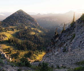 Góra, Mgła, Drzewa, Skały, Góry