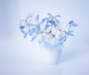 Kwiaty, Bukiet, Cebulica syberyjska, Drzewo owocowe, Białe