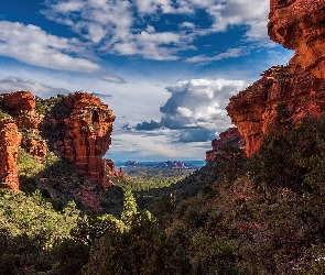 Drzewa, Formacje skalne, Stan Arizona, Stany Zjednoczone, Sedona, Skały