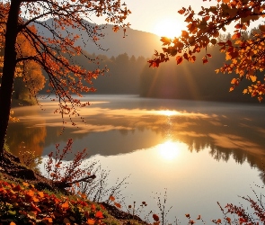 Słoneczny blask, Drzewa, Jesień, Jezioro