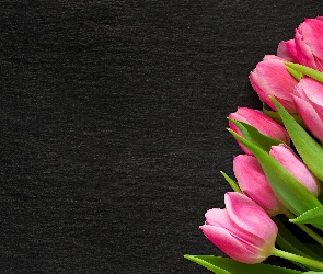 Tło, Ciemne, Jasnoróżowe, Tulipany