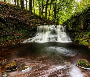 Anglia, Roddlesworth Waterfall, Wodospad, Darwen, Rzeka, Drzewa, Omszone, Skały, Las, Kamienie