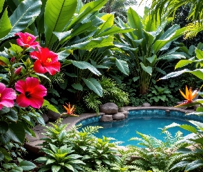 Oczko wodne, Strelicje, Ogród, Czerwone, Liście, Kwiaty, AI, Paprocie