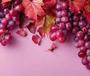 Kiście, Liście, Czerwone, Winogrona, Czerwone