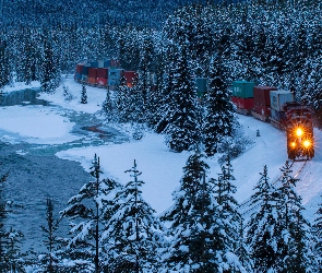 Świerk, Pociąg, Zima, Bow River, Kanada, Park Narodowy Banff, Las, Alberta, Pociąg, Śnieg, Rzeka