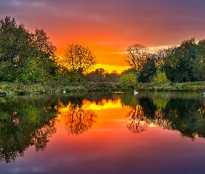 Niebo, Kolorowe, Drzewa, Staw, Odbicie, Zachód słońca