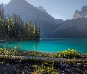 Lasy, Drzewa, Jezioro, Góry