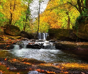 Drzewa, Mech, Potok, Jesień, Skały, Las, Wodospad