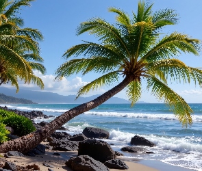 Plaża, Grafika AI, Morze, Kamienie, Palmy