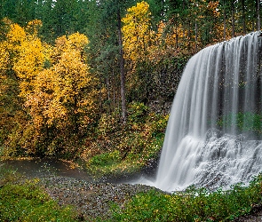 Jesień, Las, Wodospad, Drzewa