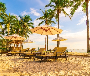 Plaża, Palmy, Wakacje, Tropiki, Parasole, Lato, Leżaki