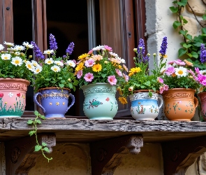 Kolorowe, Okno, Parapet, Doniczki, Kwiaty