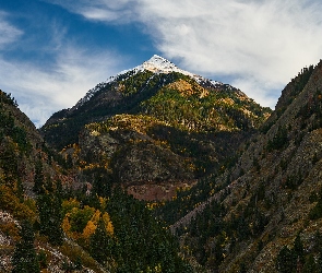 Stany Zjednoczone, Uncompahgre Gorge, Wąwóz, Kolorado, Góra, Góry, Abrams Mountain, Skały, Porośnięte, Drzewa