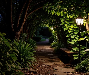 Ścieżka, Latarnie, Park, Noc, Drzewa, Ławka