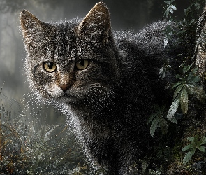 Rośliny, Drzewo, Szary, Kot