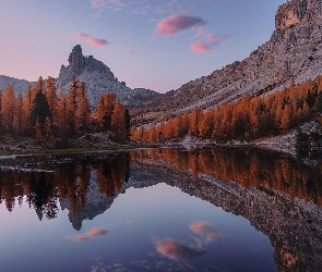 Góry, Żółte, Jesień, Lago Federa, Modrzew, Jezioro, Włochy, Drzewa