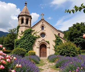 Krzewy, Drzewa, Kwiaty, Kościół, Róże, Lawenda