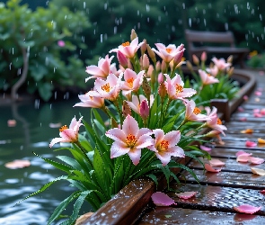 Kwiaty, Grafika AI, Deszcz, Kładka, Lilie