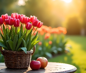 Koszyk, Grafika, Stolik, Jabłka, Tulipany