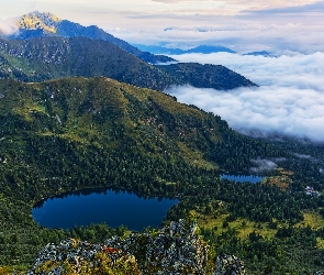 Drzewa, Mgła, Niskie Taury, Austria, Opadająca, Góry, Jeziora