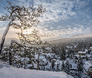 Niemcy, Oybin, Miejscowość, Saksonia, Mgła, Góry, Domy, Drzewa, Zima, Śnieg