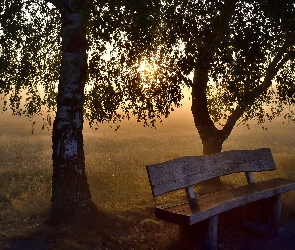 Poranek, Mgła, Trawa, Wschód słońca, Ławka, Pole, Drzewa