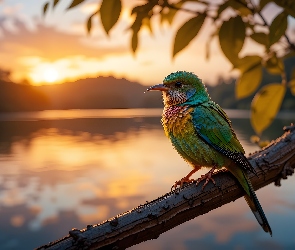 Grafika AI, Konar, Zielono-pomarańczowy, Ptak