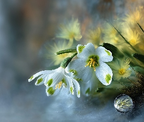 Grafika AI, Kwiaty, Śnieżyca, Białe