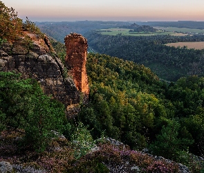 Skały, Mgła, Góry Połabskie, Lasy, Park Narodowy Saskiej Szwajcarii, Drzewa, Niemcy, Skały
