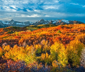 Stany Zjednoczone, Chmury, Drzewa, Kolorado, Przełęcz, San Juan Mountains, Dallas Divide, Jesień, Góry, Lasy