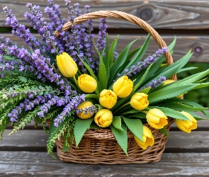 Tulipany, Ławka, Koszyk, Lawenda, Żółte