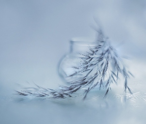 Wazonik, Grafika, Trawa