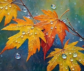 Liście, Grafika, Krople, Klon, Jesienne