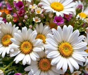 Grafika AI, Kwiaty, Margerytki, Bukiet