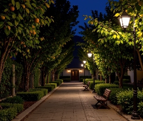 Aleja, Latarnie, Drzewa owocowe, Ławki